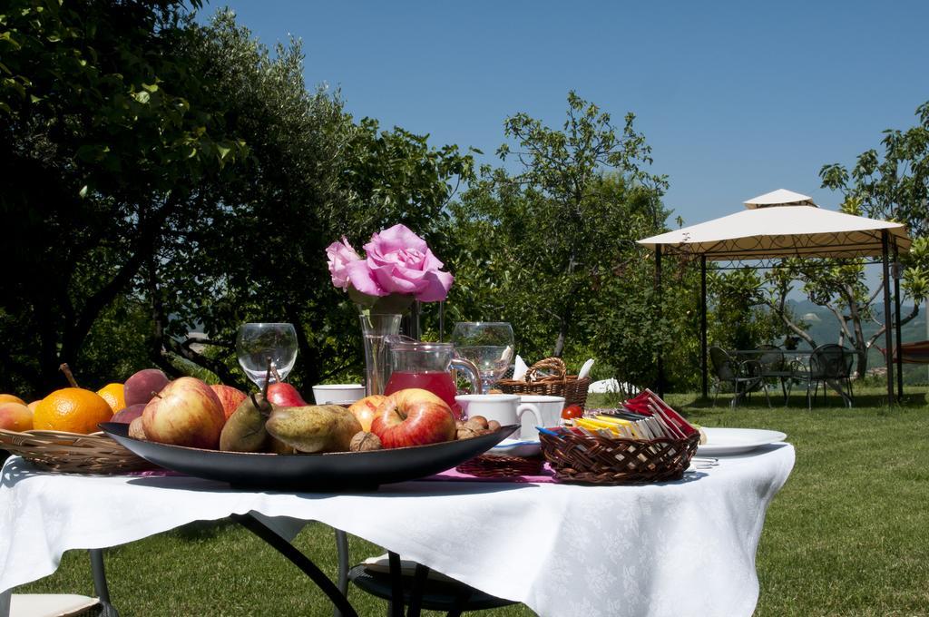 Cascina Rosa B&B Grazzano Badoglio Экстерьер фото